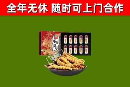 定安县烟酒回收冬虫夏草礼盒.jpg