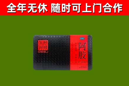 定安县回收阿胶